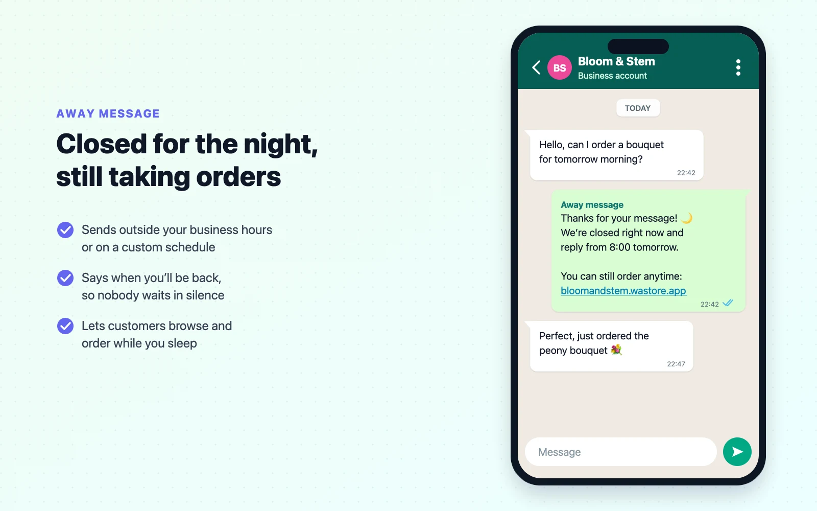WhatsApp Business chat at 10:42 pm where an automatic away message tells the customer the shop is closed and shares opening hours and a store link